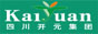 四川省開元集團有限公司